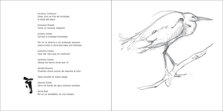 Arte del Aire sample page